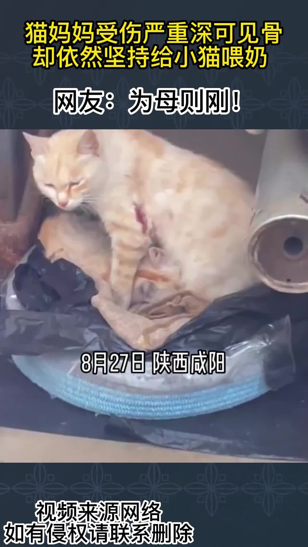 第2771页