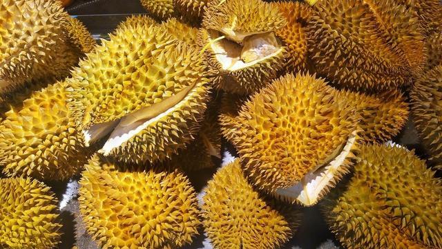破碎的旋律   第5页