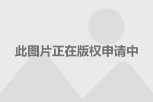 季末。花已残 第6页