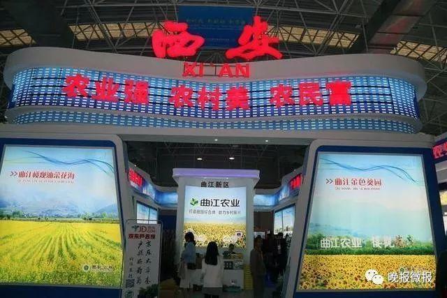 梦中的花瓣   第4页