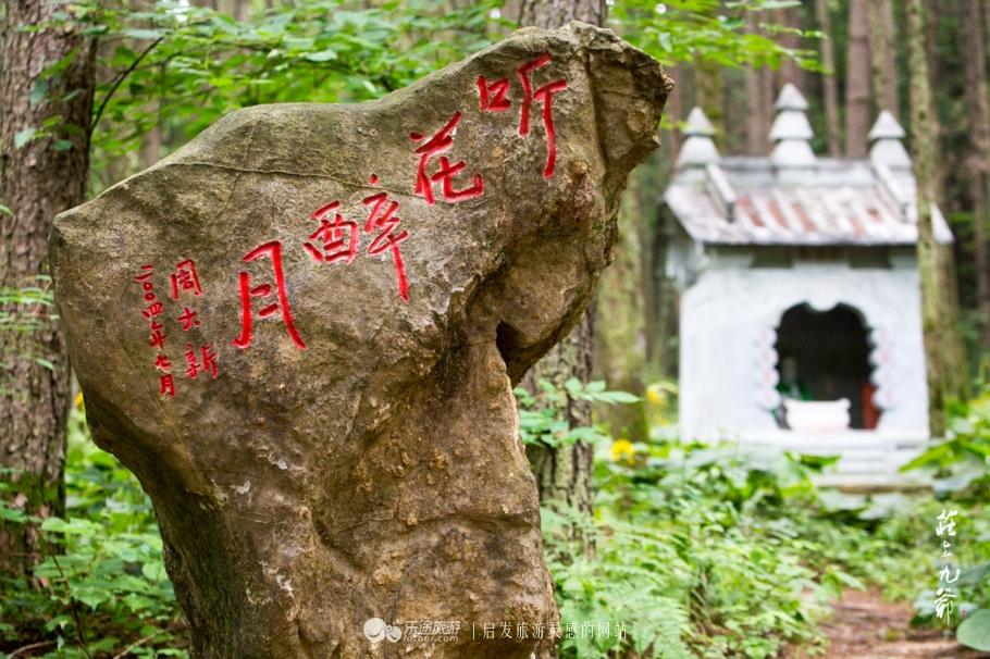 追逐幸福的脚步   第4页