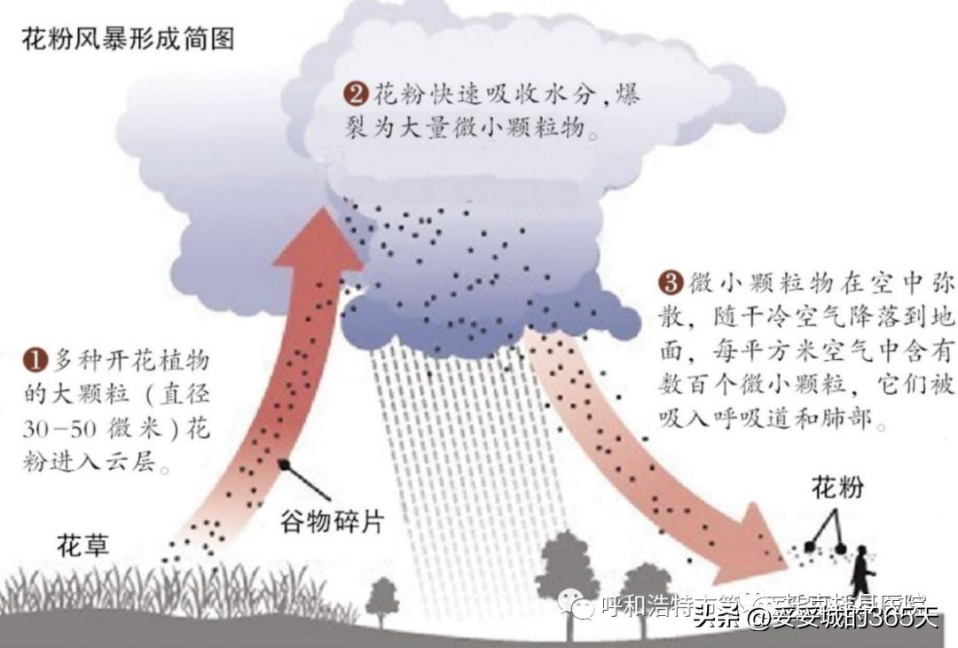 一晚超6000次雷电引发雷暴哮喘激增，深度解析与应对建议