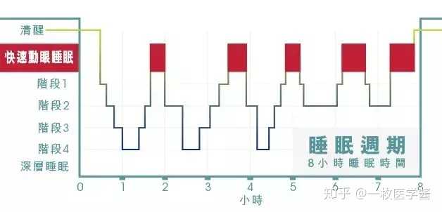 白衬衫，单纯的像孩子。 第5页