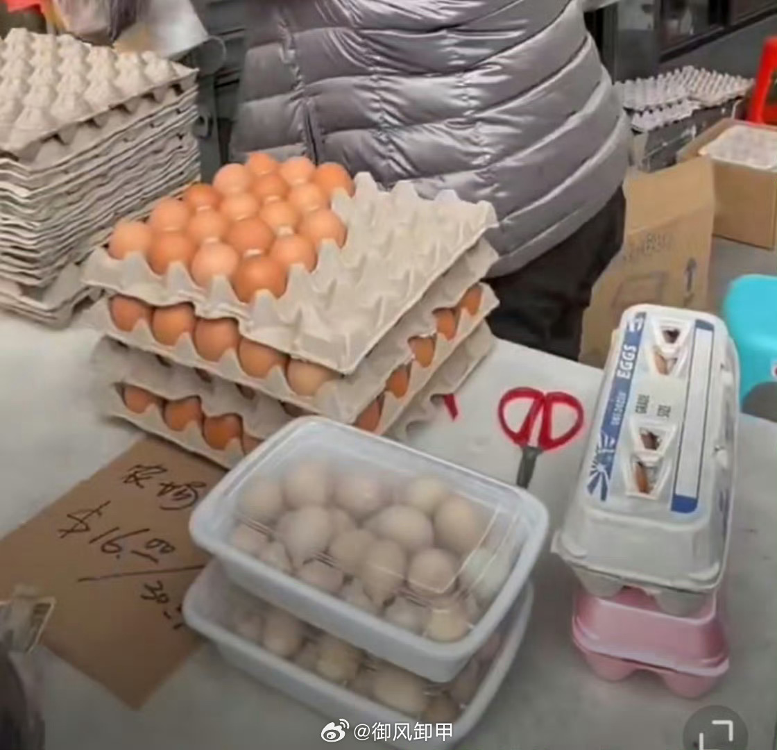 破晓的晨光  _1 第4页