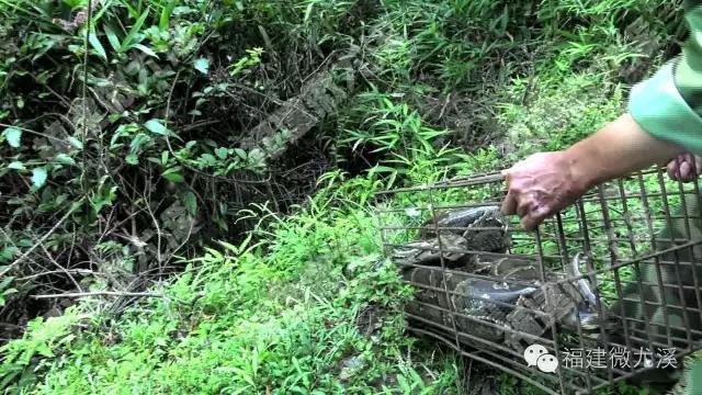 未来的旅途   第3页