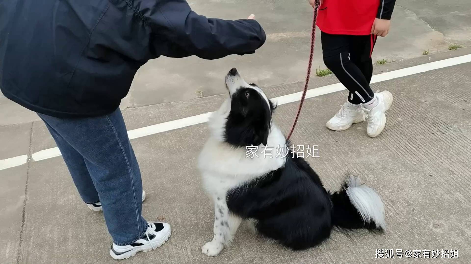 侧耳倾听 第3页