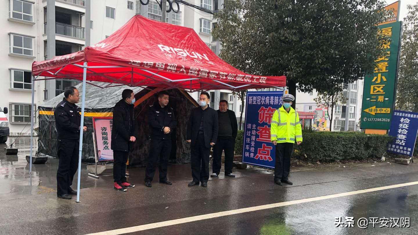 海上花 第2页