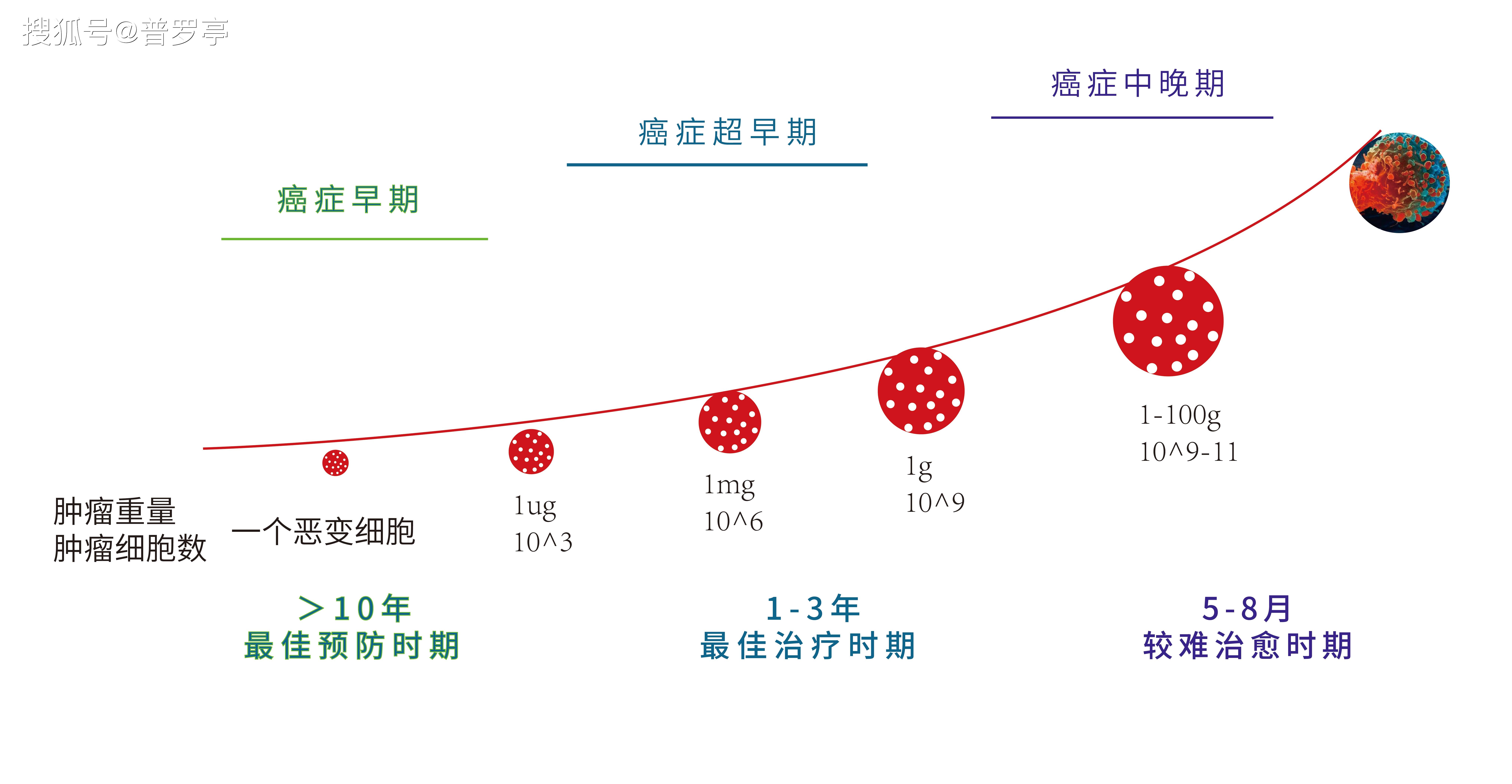 晨曦遇晓 第2页