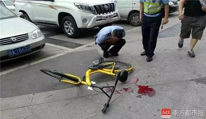 追梦的心跳   第2页