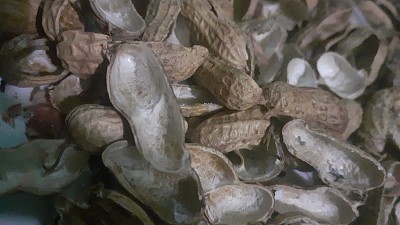 冬天的雪花