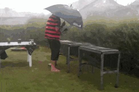 台风袭击广东，风雨中的坚守与力量