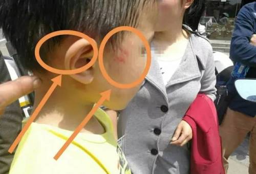 第1255页