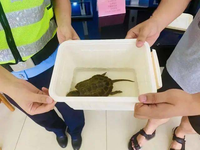 地方新闻 第171页