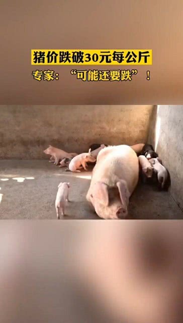 第851页