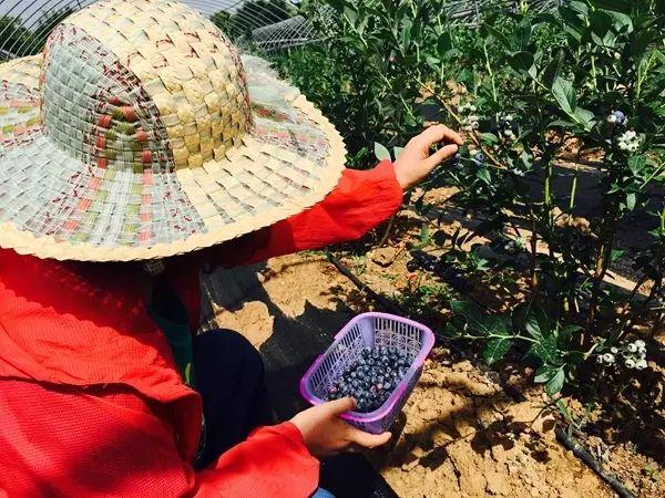 娱乐生活 第132页