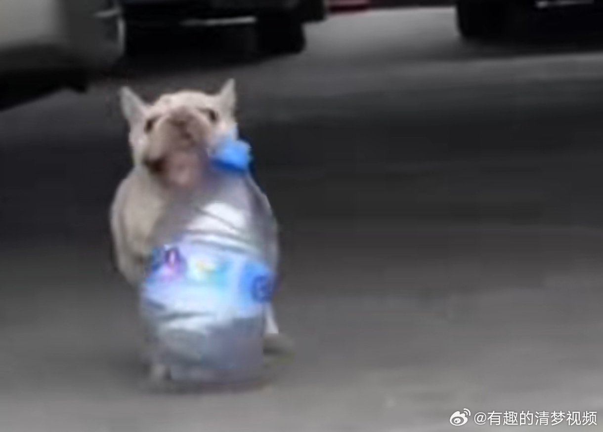 第404页
