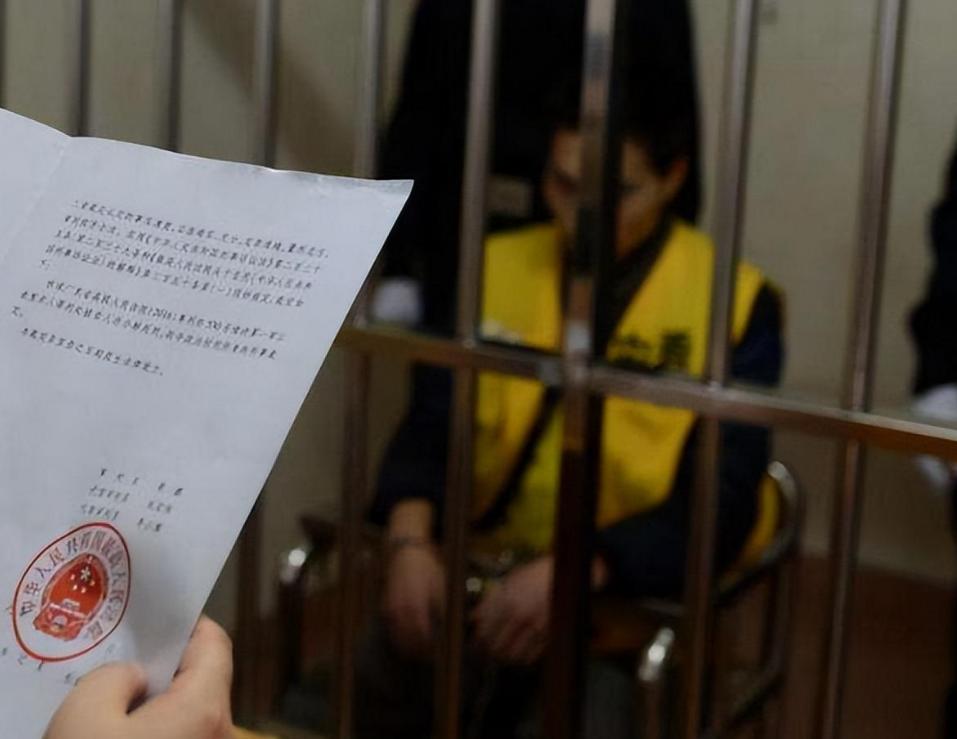 男子获死刑男子获死刑，关于正义与法律的深度探讨